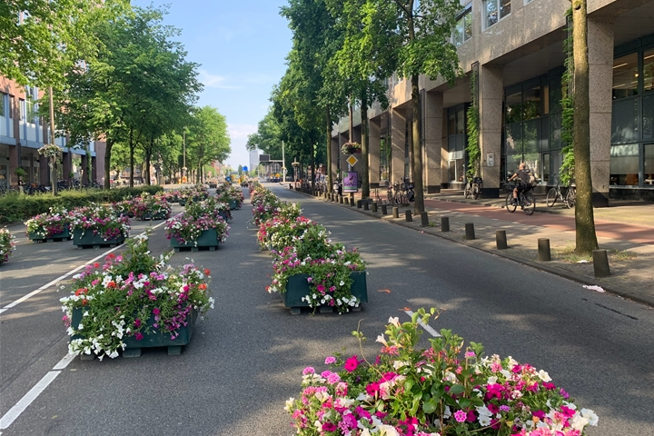 Verkeersknip voor handout